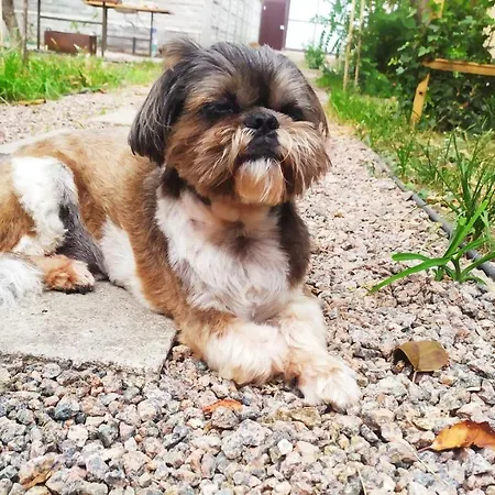 Ξενοδοχείο με διαμερίσματα Duplex